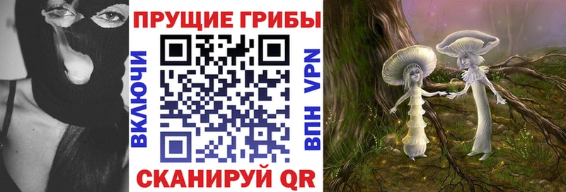 Купить  Палласовка  Псилоцибиновые грибы Psilocybe 
